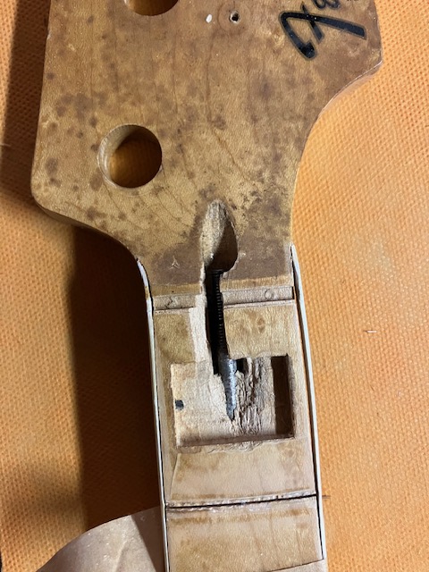 1964 jazz bass calamity